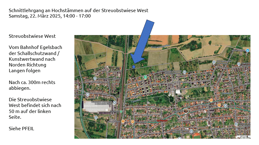 Streuobstwiese West