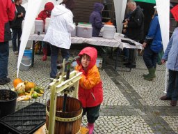 Bilder 2013