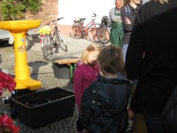 Bilder 2014