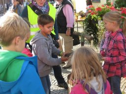 Bilder 2014