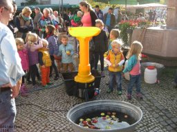 Bilder 2014