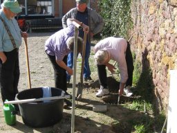 Bilder 2015