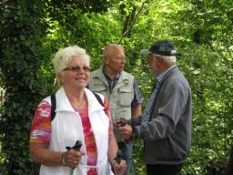 Bilder 2015