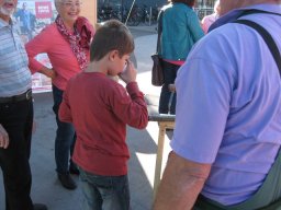 Bilder 2015