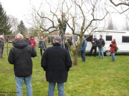 Bilder 2015
