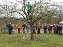 Bilder 2018