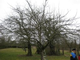 Bilder 2018